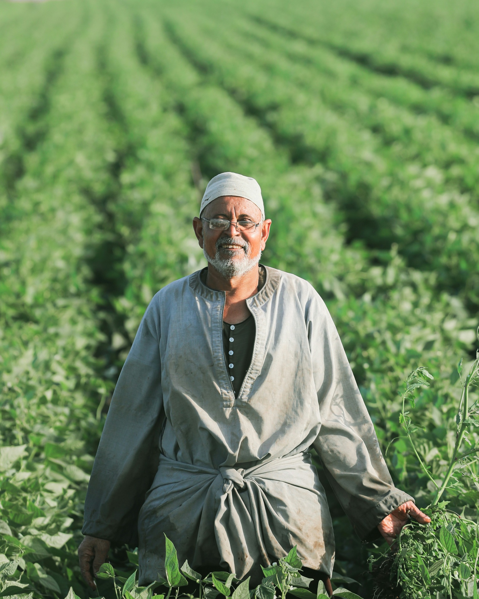 A farmer, in the fields of the valley